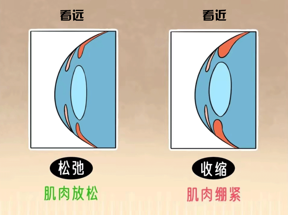 看遠(yuǎn)看近.gif