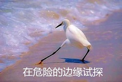 上瞼下垂怎么辦