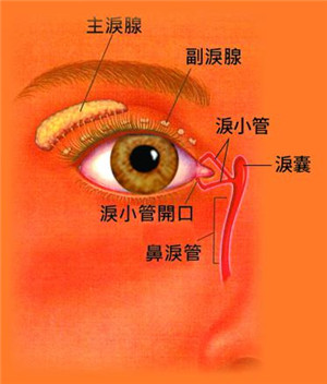 淚道阻塞按摩
