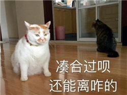 老年人白內(nèi)障不應(yīng)該將就