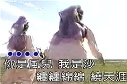 迎風(fēng)流淚
