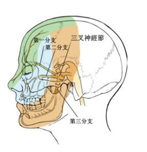 眼睛帶狀皰疹對視力的傷害