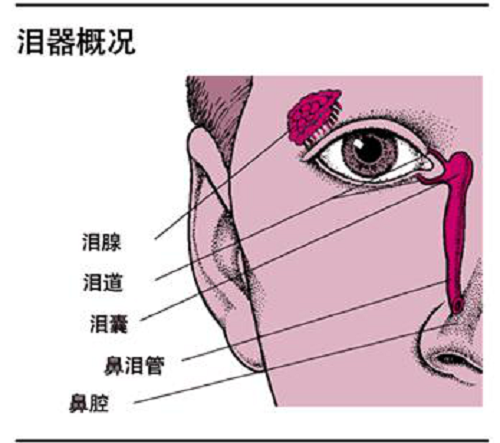 健身時汗流浹背感覺很爽?但汗水入眼需警惕淚囊炎找上門來!