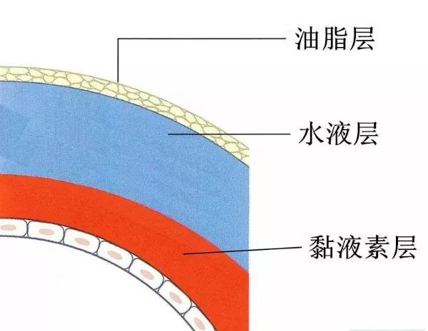 手機刷屏不離手？當心干眼癥！