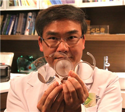 白內(nèi)障手術移植人工晶體