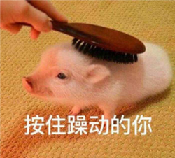 宅家護眼