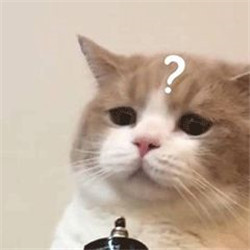眼結石是什么